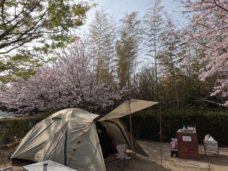 ウエルネスパーク五色キャンプサイト　テント設営